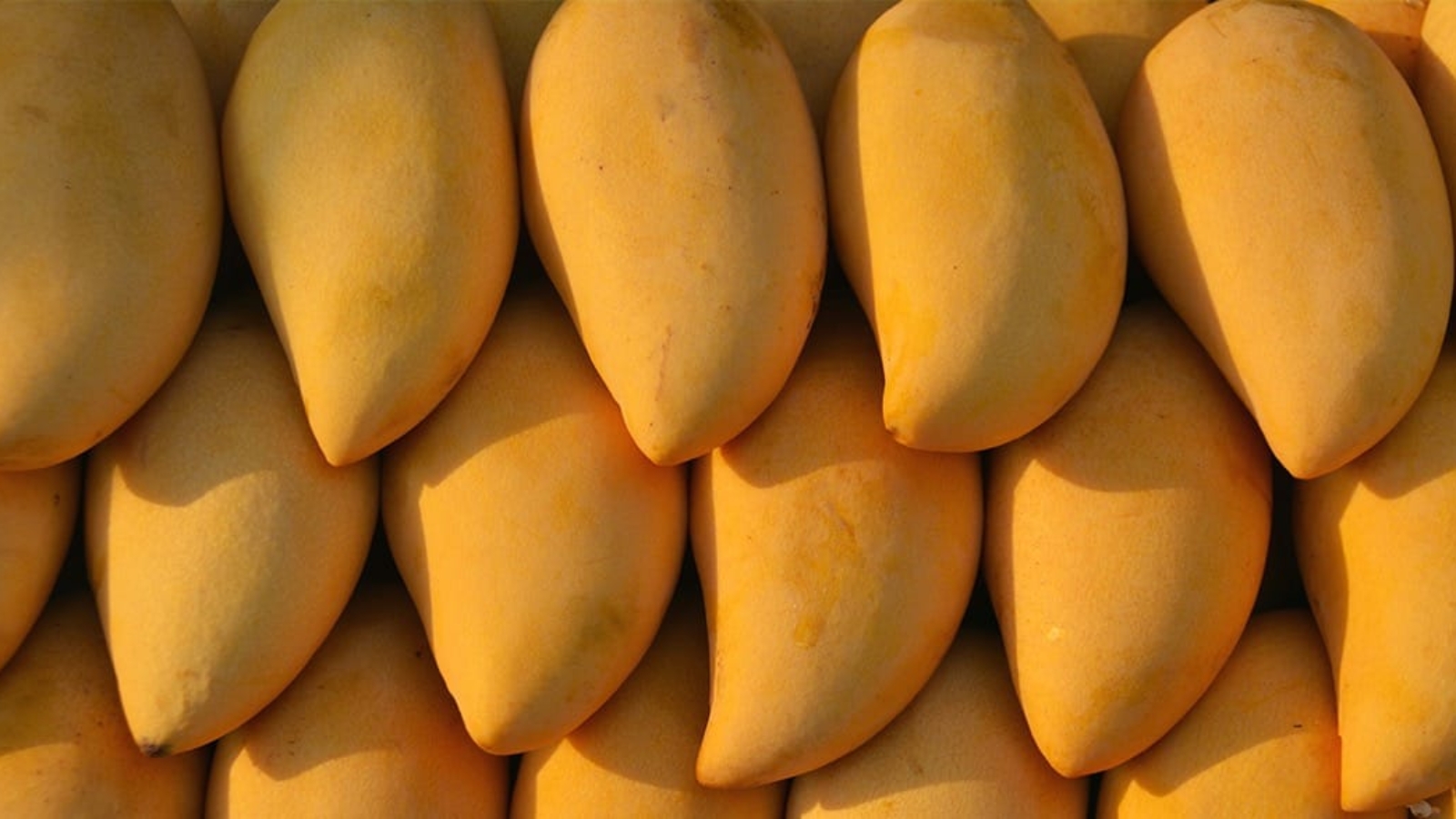 4f041ca7cec54f1fb499a302199237be_FB