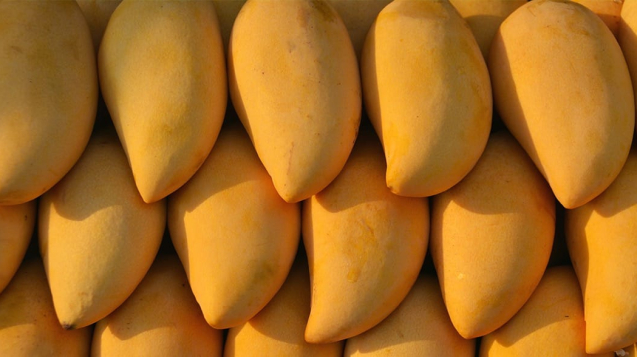 4f041ca7cec54f1fb499a302199237be_FB