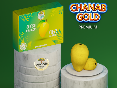 CHANAB GOLD