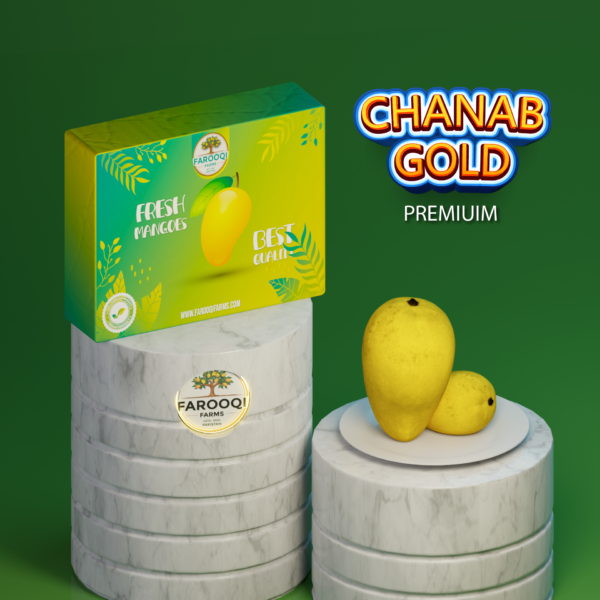 Chanab Gold