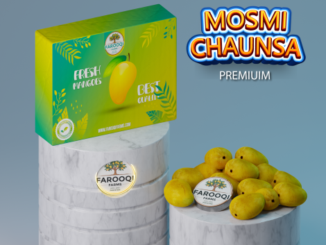 MOSMI CHAUNSA