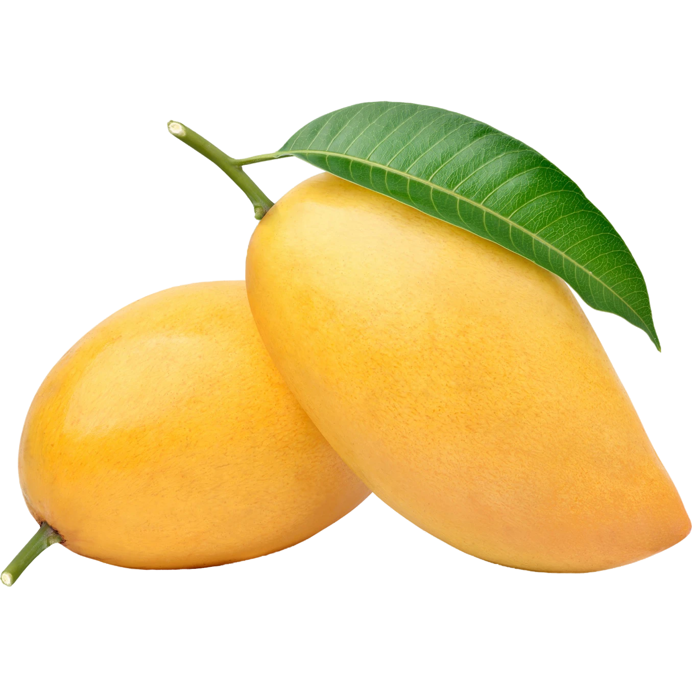 mango1_transparent_Craiyon